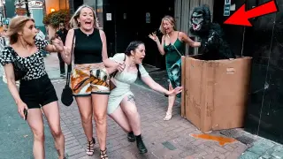 Top FUNNIEST Compilation of Gorilla & Bushman Prank/ AWESOME REACTIONS