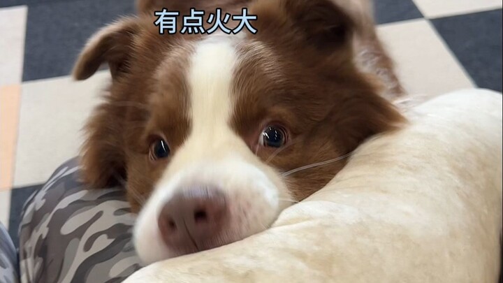 It's so hard to guess what Mom is thinking!