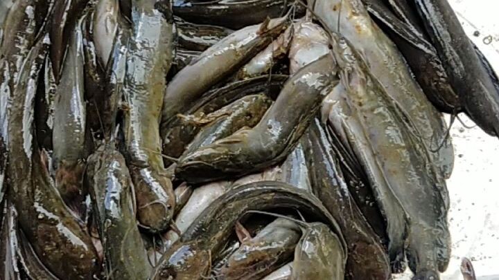 konte lng Ang huli namin.