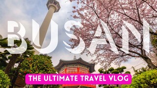 The Only Busan Travel Guide You'll Ever Need: 50 Unforgettable Experiences