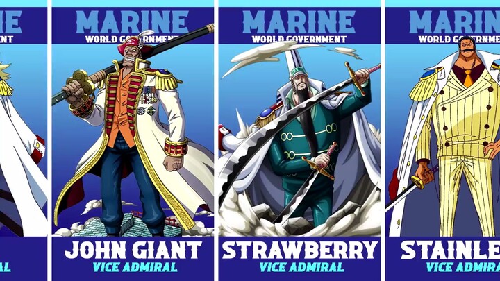 Urutan Marine ONE PIECE dari yang TERLEMAH sampai yang TERKUAT