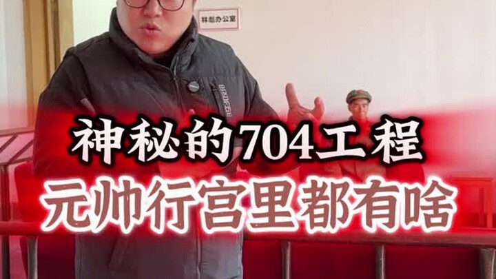 神秘的704工程