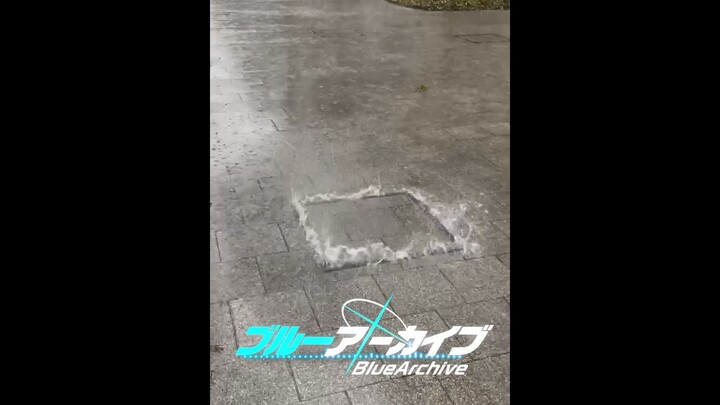 Vũ điệu thỏ trên nắp cống