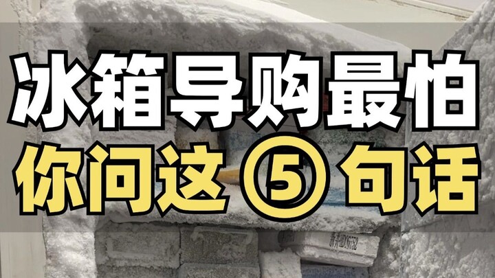 Ask the Salesperson 5 Questions When Buying a Refrigerator to Avoid Pitfalls