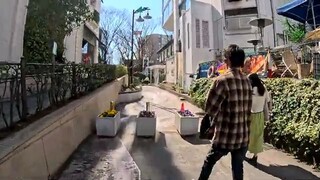 【Harajuku → Omotesando】From Pop Culture to Elegance｜A Tokyo Walk of Contrasts【4K