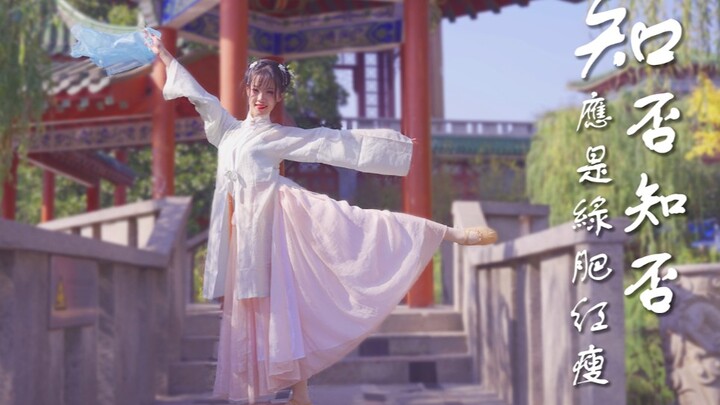 [Jiuli] ♢ "No Longer Aware, No Longer Aware" ♢ The green leaves have grown lush, the red flowers hav