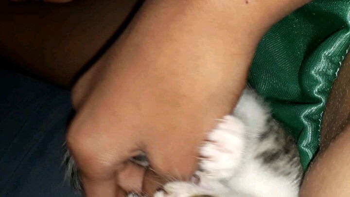 just playing with my cat