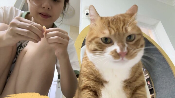 麻麻酱这是我最喜欢吃的鸡胸肉啊～