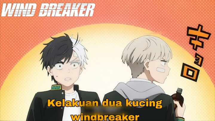 Duo kucing windbreaker | Fandub Indonesia