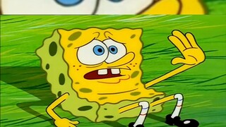 SpongeBob chán cuộc sống nhàm chán, nghỉ việc và chọn hòa mình vào thiên nhiên