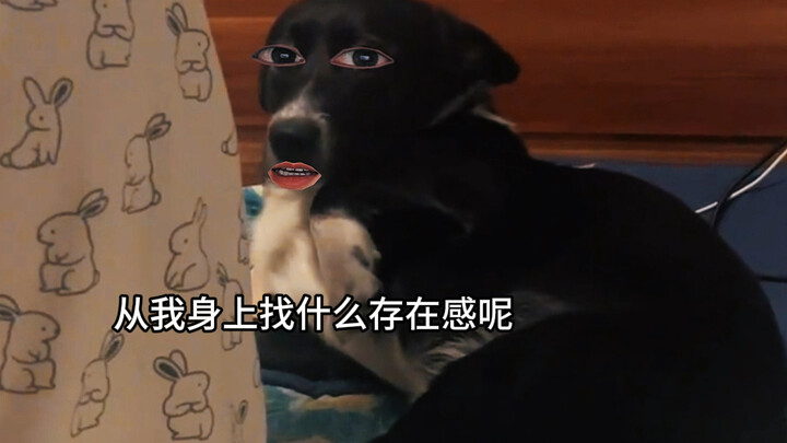 ليش بتتحكموا فيّ كتير؟