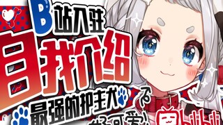 【B站入驻自我介绍/狗灰Omochi】最有名的护主犬VTB来了!?【新人Vup】