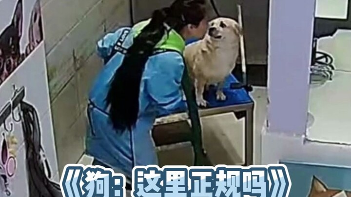 เห็นได้ชัดว่างานที่ไม่ต้องติดต่อกับผู้คนนั้นทำให้จิตใจผ่อนคลายจริงๆ~