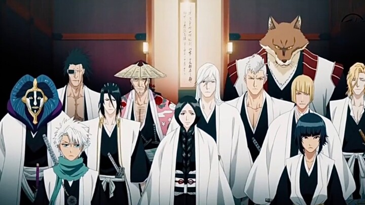 BLEACH: Divisi Tiga Belas Gotei Kebenaran 110 tahun yang lalu.