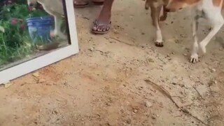 إن الضغط الناتج عن كونك غير طبيعي هو في الواقع كبير.