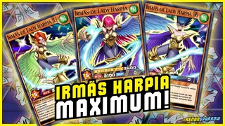 NOVO DECK DE HARPIA TÁ O MÁXIMO! - Yu-Gi-Oh! Duel Links #2257
