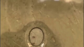 Berpeganganlah dalam keputusasaan