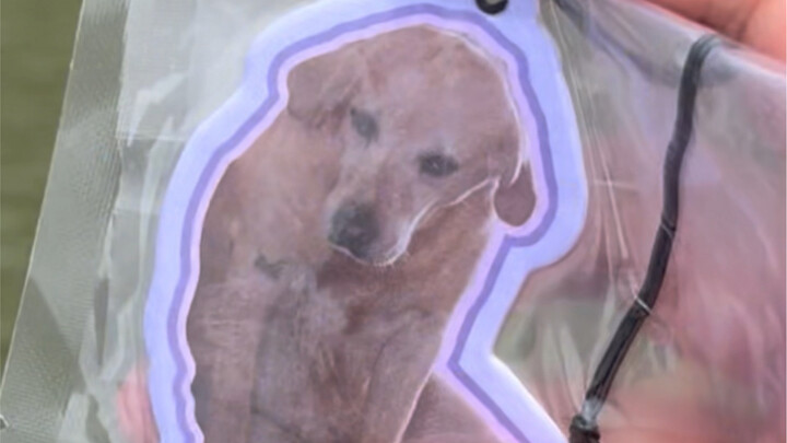 Đưa bạn đi dạo một vòng