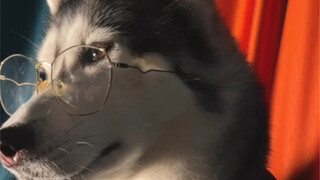 Kalau jentikan jari tidak berhasil, saya akan memberi kalian pertunjukan mengejek telinga saja deh