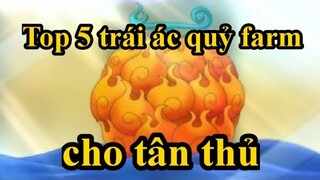 Top 5 trái ác quỷ farm cực ngon dành cho tân thủ - Blox Piece/Blox Fruit