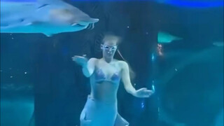 الأحداث الرائعة في عالم الحيوان مؤخرًا