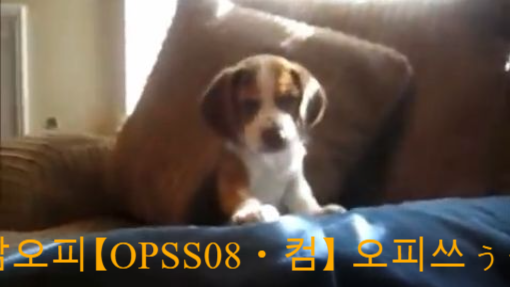 dN19강남오피【OPSS08ㆍ컴】 오피쓰ぅ강남마사지,﹎강남오피 강남OPぅ오피사이트