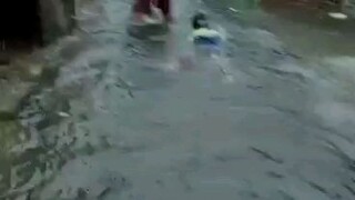 tim basarnas siaga dan sigap dalam penyelamatan korban banjir di semarang