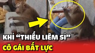 Cô gái BẤT LỰC với chú khỉ THIẾU LIÊM SỈ gặp ở chùa 😂 | Yêu Lu