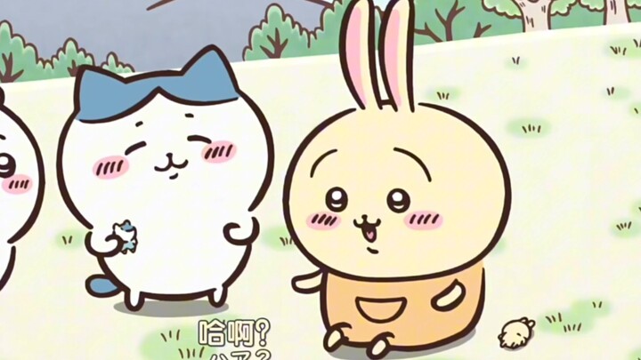 Usagi suddenly put on clothes, huh? 30 seconds of pure enjoyment