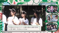 250727 Hinatazaka de Aimashou #323 Sub Indonesia