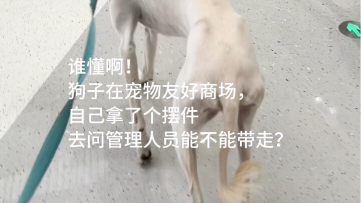 Đây là “hiện tượng nổi bật” nhà ai vậy?