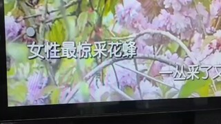 “万般由心生放下全无事”