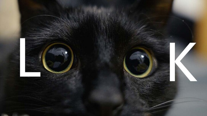 Let me see, let me see, let me see…