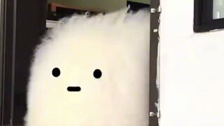“有趣的事分享给不敷衍的人，，”