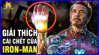 CÚ BÚNG TAY ĐÃ HẠ GỤC IRON MAN BẰNG CÁCH NÀO TRONG ENDGAME? | meXINE Khoa Học #06