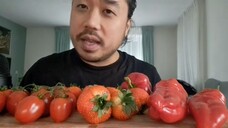 ASMR **RED FOOD** STRAWBERRY, CHERRY TOMATOES, SWEET RED PEPPERS 🔴🔴🔴🍓🍅🌶