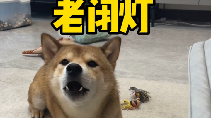 妈妈的好大儿（你先动手）
