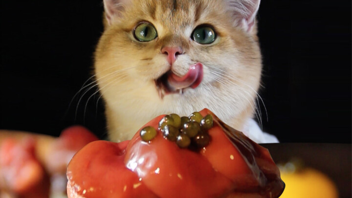 الأرنب لطيف جدًا، كيف يمكن أن تأكل الأرنب!