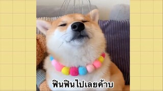 เพื่อนตัวน้อย สัตว์เลี้ยงแสนซน : ฟินฟินไปเลยค้าบ