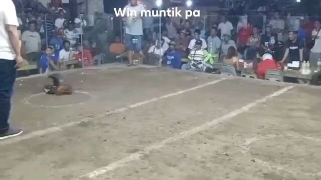 kumiskis 2x na pero patay din