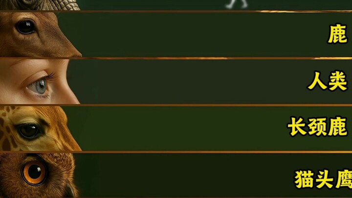 Seberapa jauh hewan dapat mengenali kita?