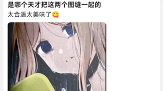 是哪个天才把这两个图缝一起的，太合适太美味了