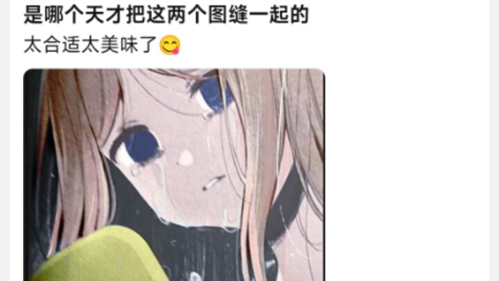 是哪个天才把这两个图缝一起的，太合适太美味了