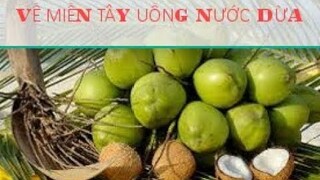 #13: Về miền tây quê ngoại uống nước dừa