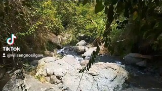 refreshing nature of forest river