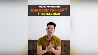 Những kinh nghiệm nhận biết chó khôn theo dân gian tuitienpet petonesaigon petnhatrang dcgr