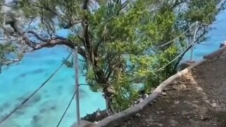 玫瑰綻放，鮮豔如人生的璀璨。花開芬芳，美麗如人生的瑰麗。花香四溢，喜悅如人生的歡樂。