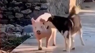 Mọi chuyện sẽ không ổn nếu tôi không nói rõ ràng ngày hôm nay.
