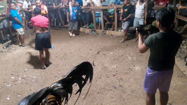 brassback ( win ) #pangatlong panalo na nya!😆