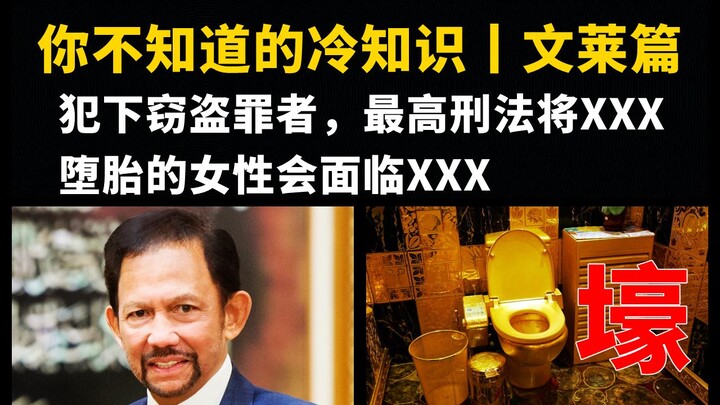 Fun Facts Series | Brunei: Rape & Adultery Carrying the Death Penalty